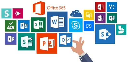 MS Office
